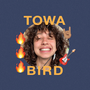 TikTok’s Towa Bird is the rare gem of the music industry TikTok’s Towa Bird is the rare gem of the music industry
