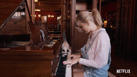 taylor swift miss americana netflix documentary gif