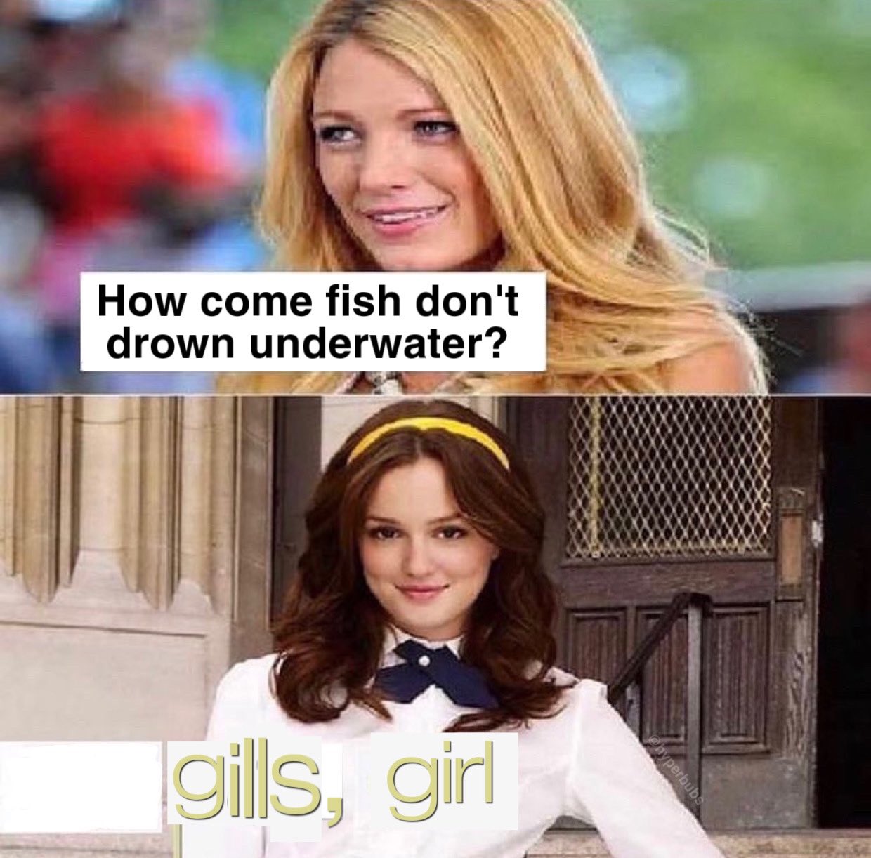 'Gossip Girl' reboot: The best of *those* memes (фото 10)