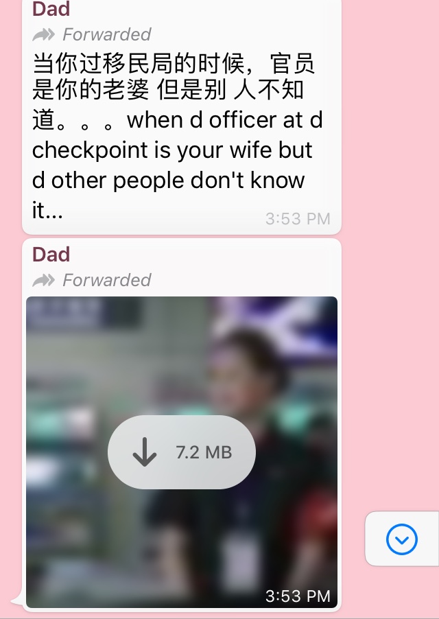 Team Buro Answers (Father's Day edition): The funniest things our dads have texted us (фото 7)