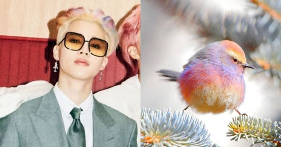 11 Smooth reactions to BTS’s ‘Butter’ that will stick in your mind like the song (фото 1)