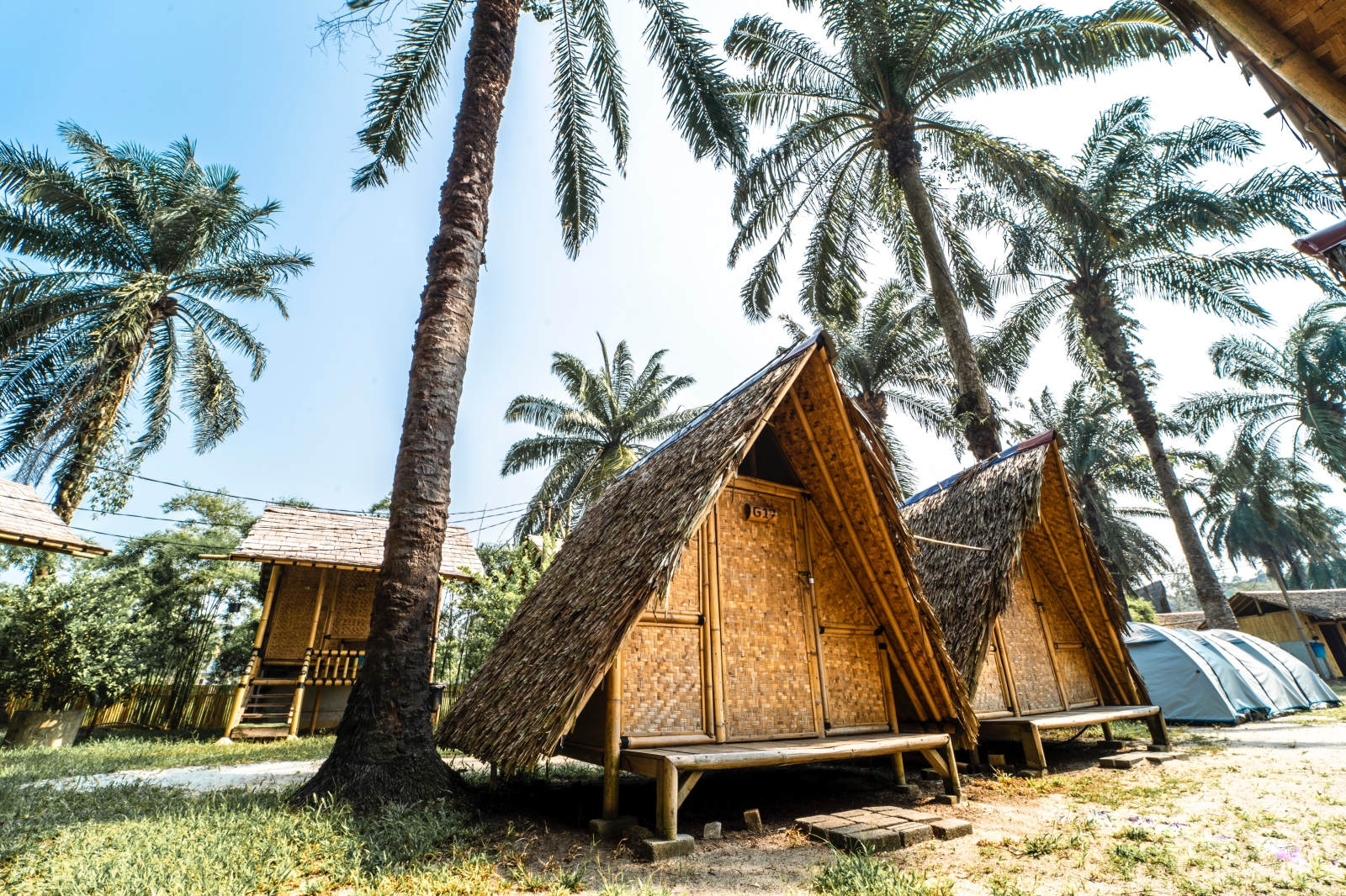 9 Unique glamping spots in Malaysia for your next getaway (фото 3)