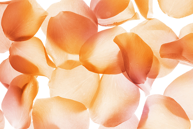 Sothys rose petals