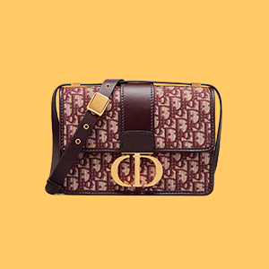 Arm candy of the week: The Dior 30 Montaigne bag