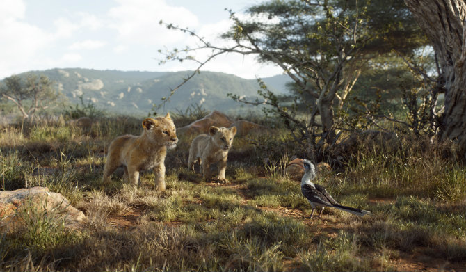Lion King Simba Nala and Zazu