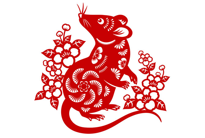 Year of the Rat: How 2020 will go according to your Chinese zodiac sign (фото 1)