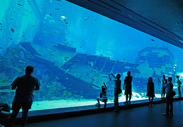 SEA Aquarium singapore