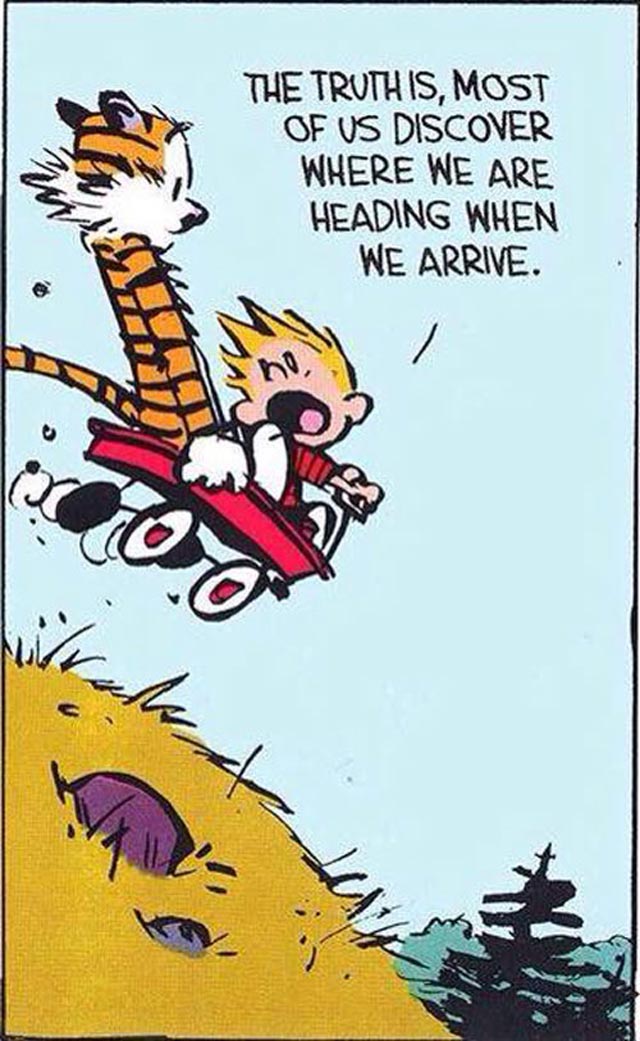 Ten life lessons we learnt from Calvin and Hobbes (фото 10)