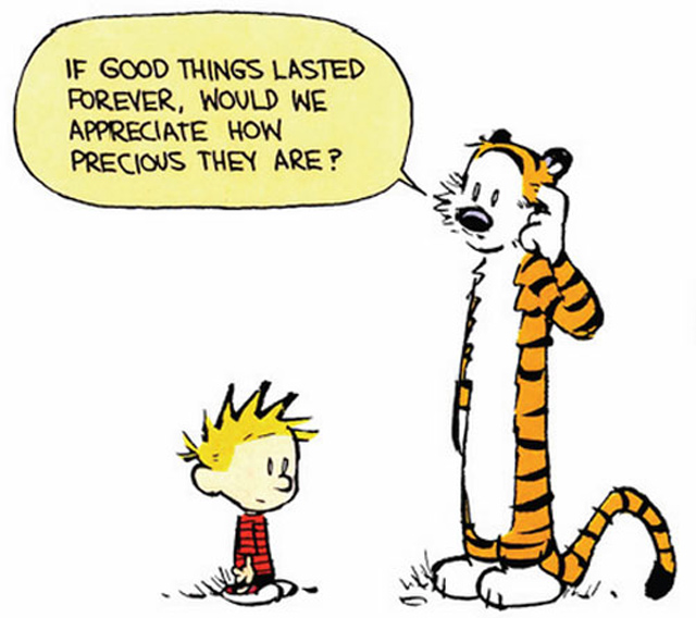Ten life lessons we learnt from Calvin and Hobbes (фото 5)