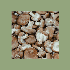Why are mushrooms taking over the world right now? Why are mushrooms taking over the world right now?