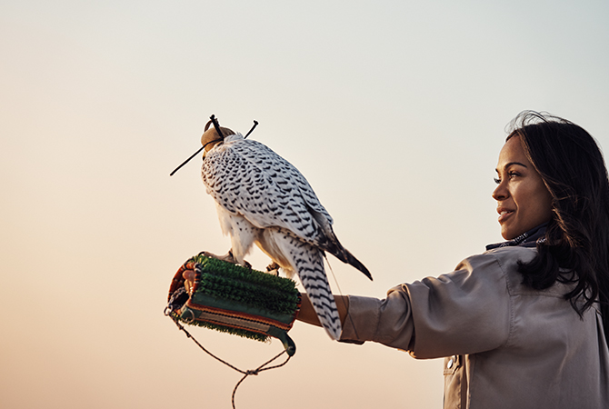 Zoe Saldana in Dubai with a falcon