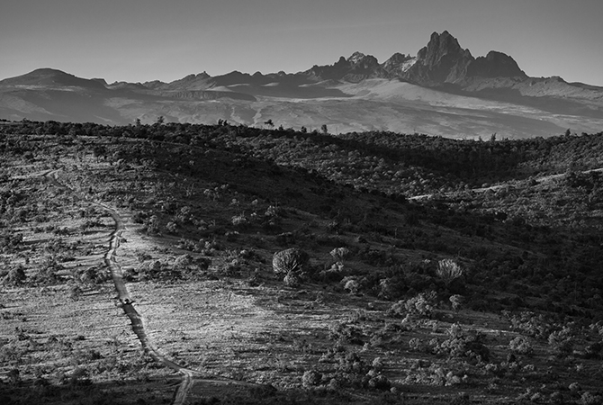 land rover david yarrow lion tusk campaign