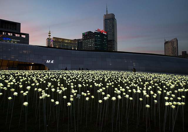 led flowers dongdaemun design plaza