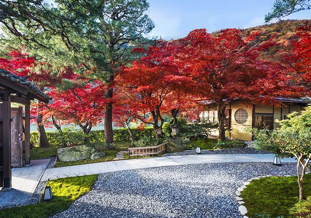 suiran kyoto hotel autumn