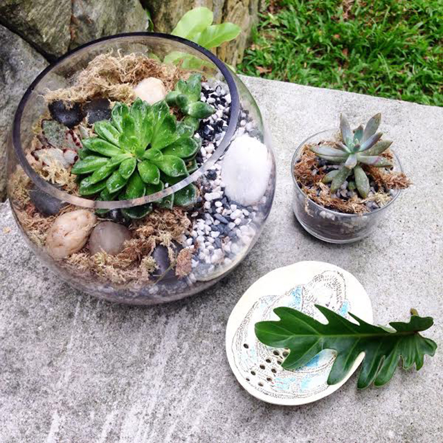 Terrariums are more than just encapsulated shrubs; it’s an art and a discipline of sorts (фото 1)