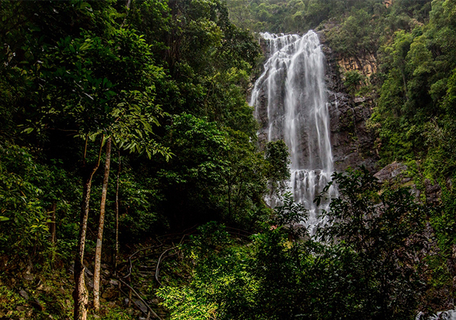 Nature beckons at The Datai Langkawi (фото 3)