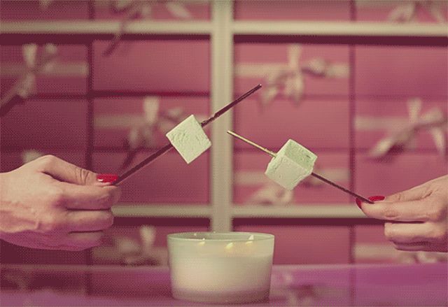 What if Wes Anderson made S'mores? It might look something like this What if Wes Anderson made S'mores? It might look something like this