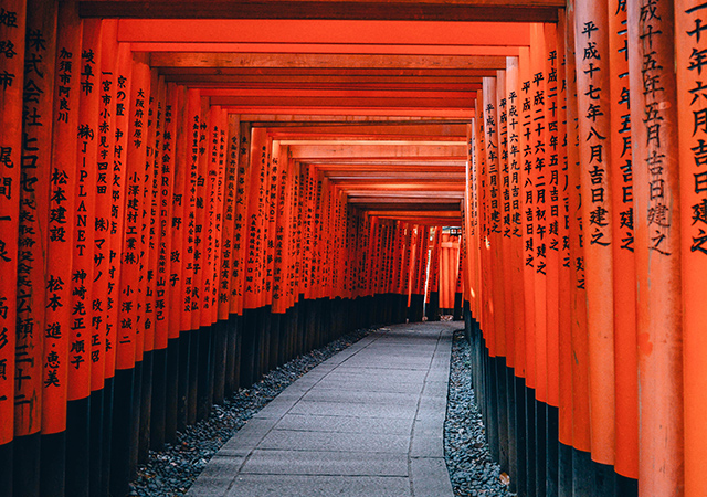 what to do in kyoto on a short trip_fushimi inari shrine