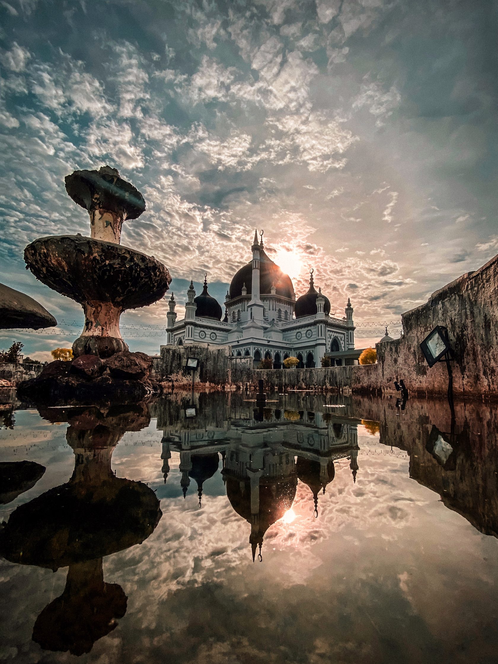 How to use the iPhone 11 Pro's camera like a proas shared by these