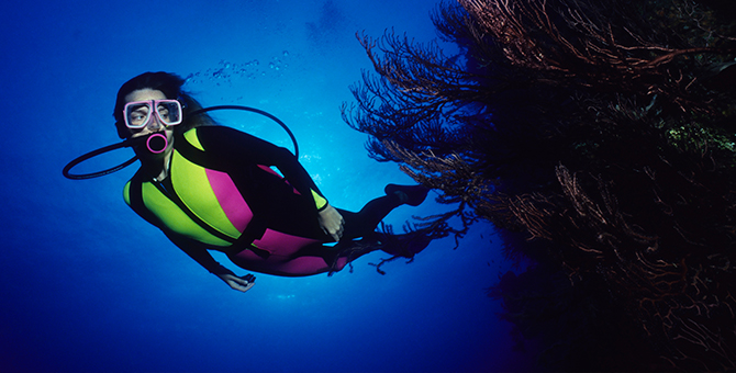 10 Wetsuit brands to know for your next diving (or surfing) trip