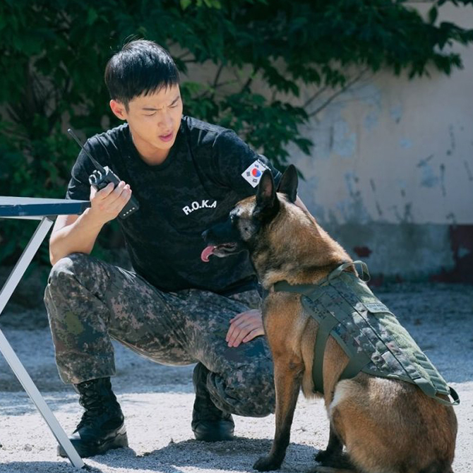 ‘Search’—premiering 17 October—is the latest Korean drama to check out