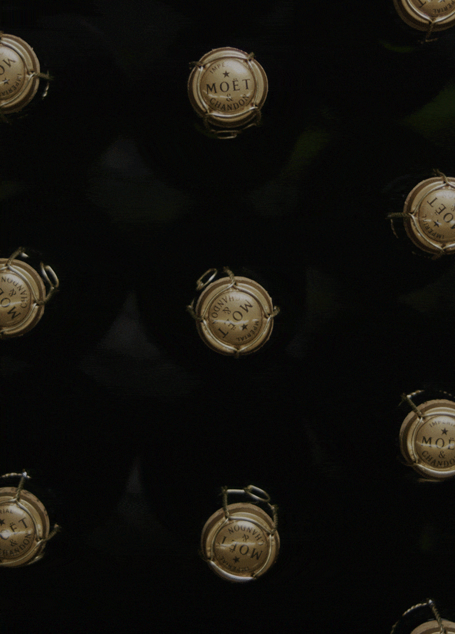 Champagne gift guide: How to buy the right bottle of bubbly for any celebration