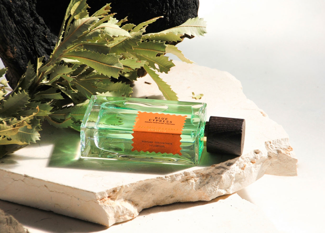Scent edit: 9 Fragrances you have to try for the holiday season