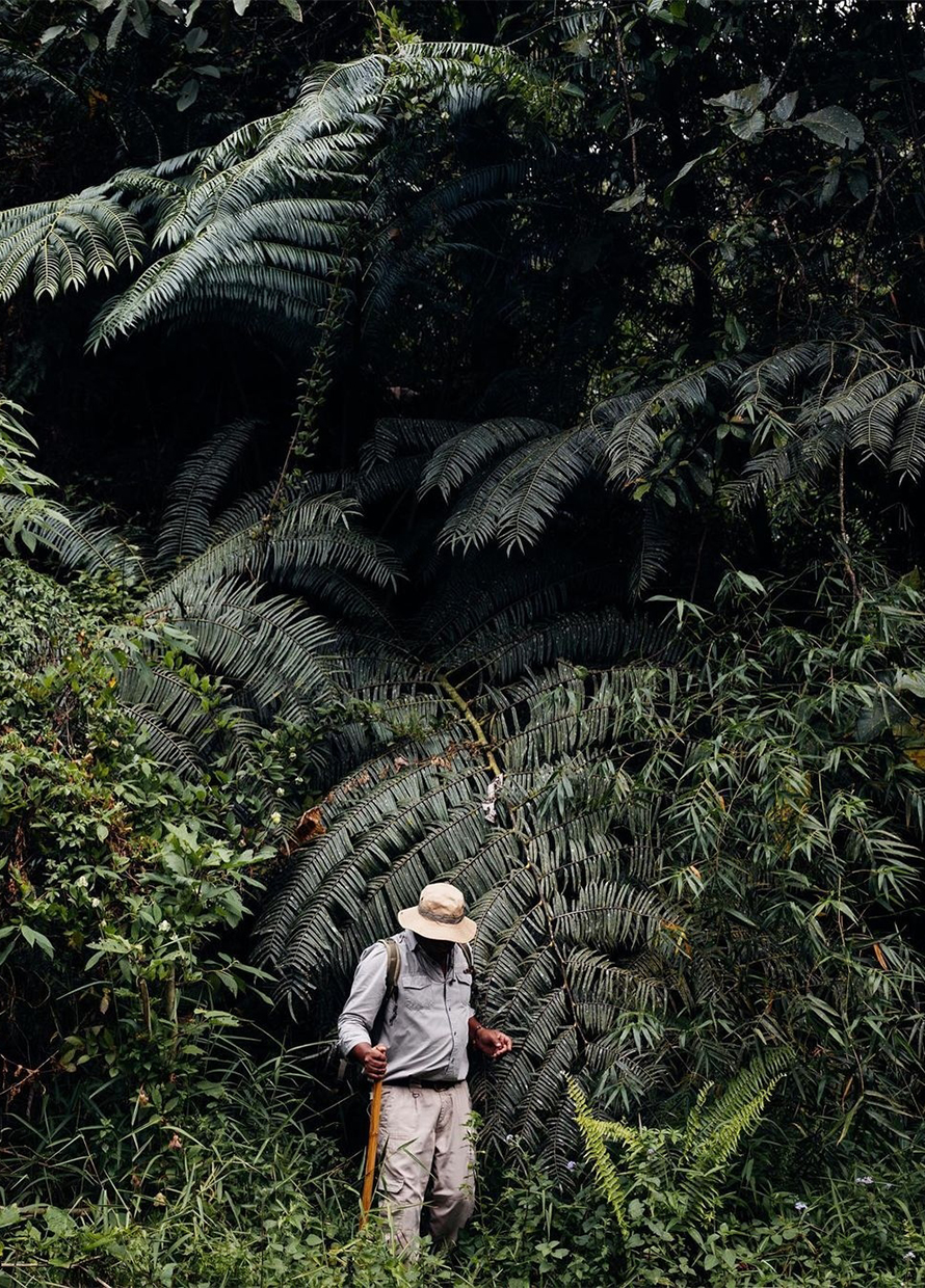 Uncovering the Jim Thompson mystery at the Cameron Highlands Resort