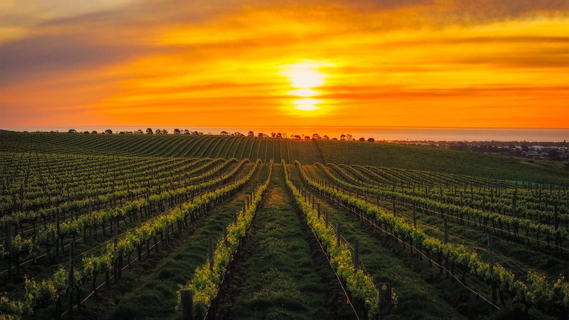 A true Australian journey awaits you in Adelaide