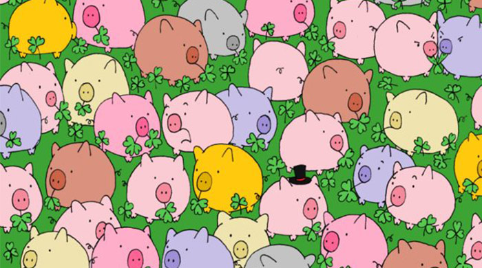 The mind-boggling puzzles everyone just can’t hate