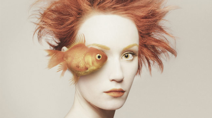 Art for the animal lover