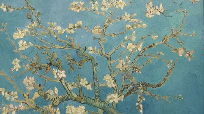 A walk through the most renown works of Vincent van Gogh