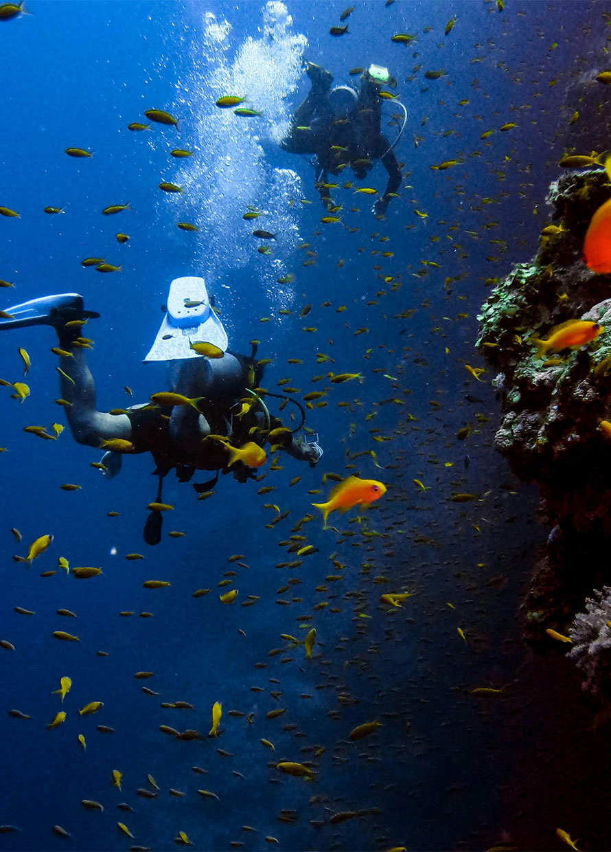 A Starter Guide to Diving Destinations Around Southeast Asia for Your Next Diving Adventure