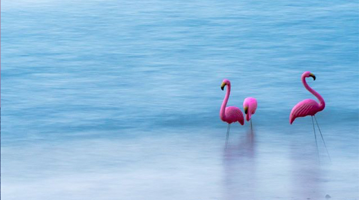 #MondayMontage: Travel to Australia