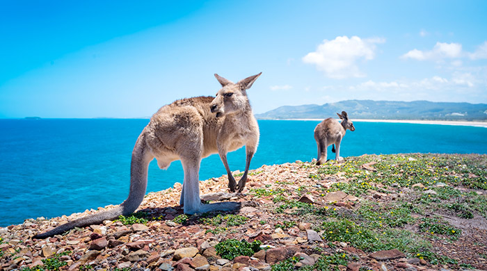 3 Alternative destinations outside of Sydney for the solo traveller