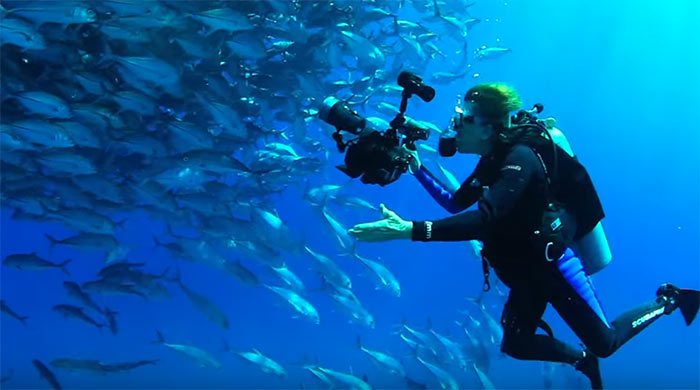 7 Impactful documentary films that will inspire you to go green