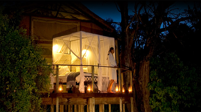 Top 3 starlight experiences at Sanctuary Retreats Africa
