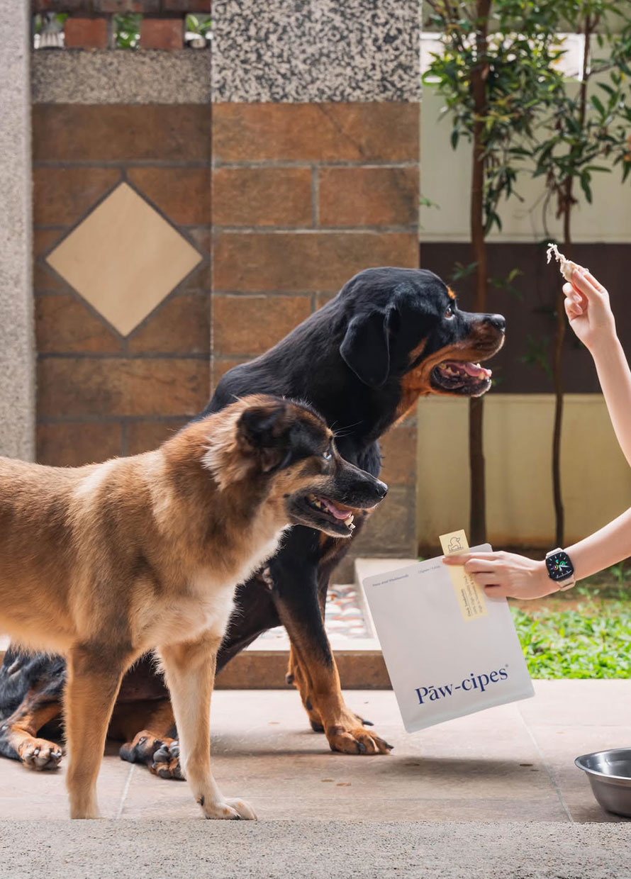 These Local Premium Dog Treat Brands Deserve a Spot in Your Pup’s Feeding Rotation