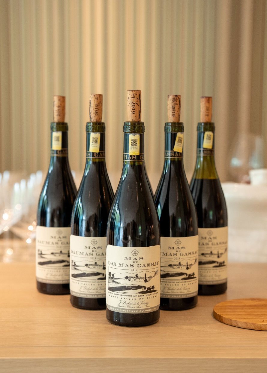Wine down: A chat with (one of the) the winemakers and importers of Mas de Daumas Gassac