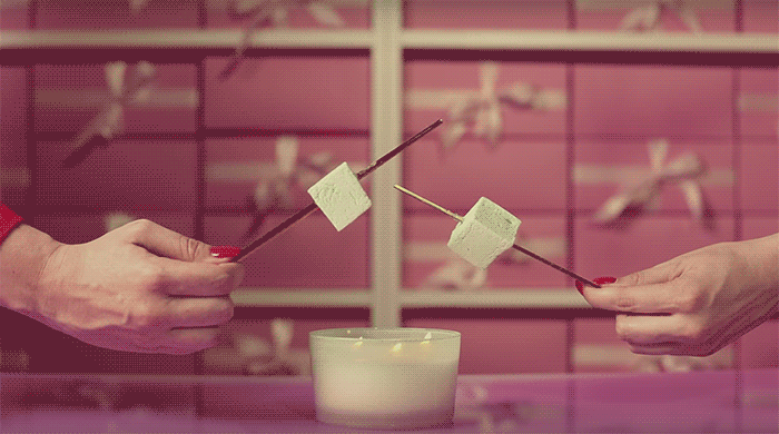 What if Wes Anderson made S’mores? It might look something like this