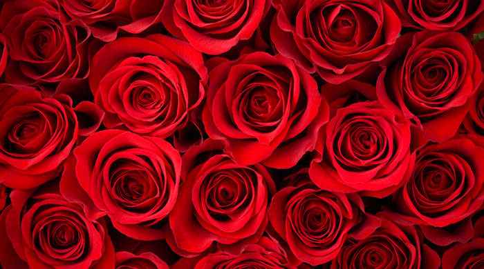 The seductive power of red