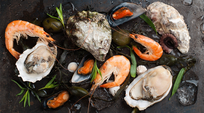 Must-eat seafoods in New Zealand