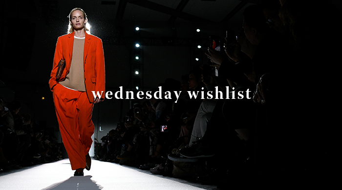 #WednesdayWishlist: Trousers we want to wear from PFW AW17